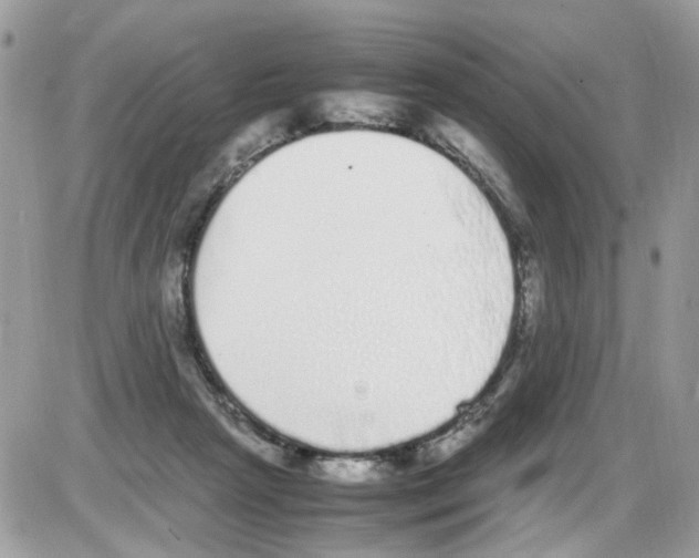 X0000086110265200704202313