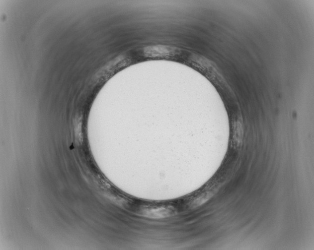 X0000086110267200704202313