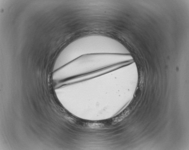 X0000086110268200704202313