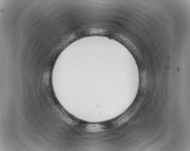 X0000086110269200704202313