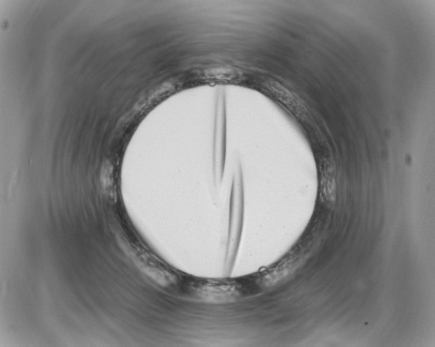 X0000086110270200704202313