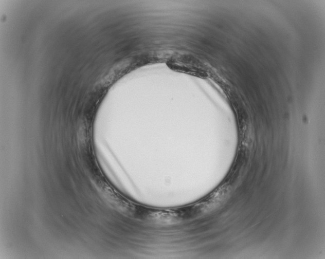 X0000086110272200704202313