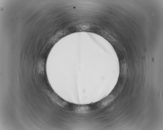 X0000086110274200704202313