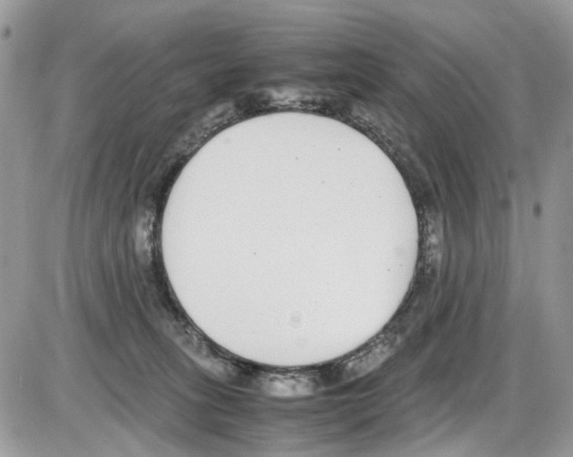 X0000086110275200704202313