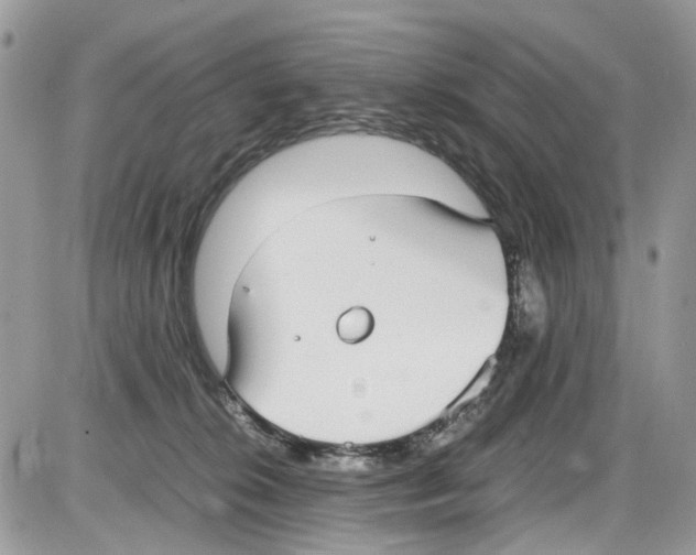 X0000086110276200704202313