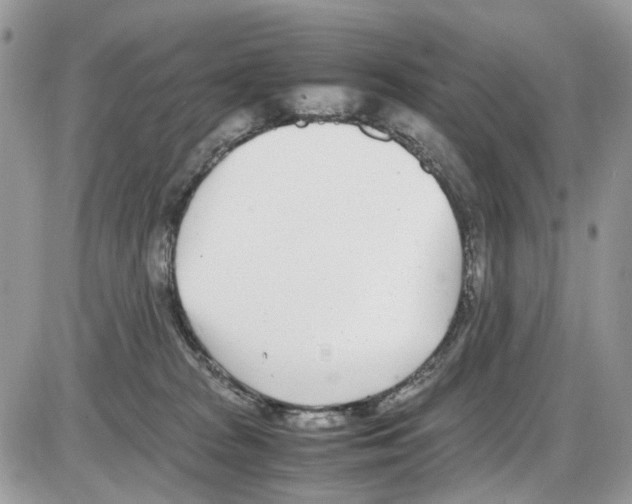 X0000086110277200704202313