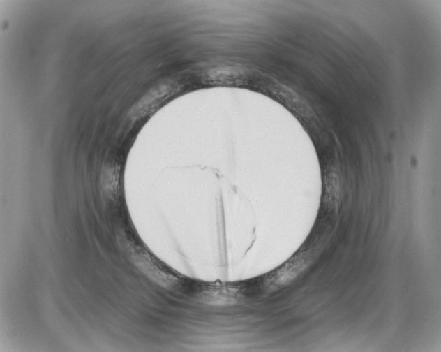 X0000086110278200704202313