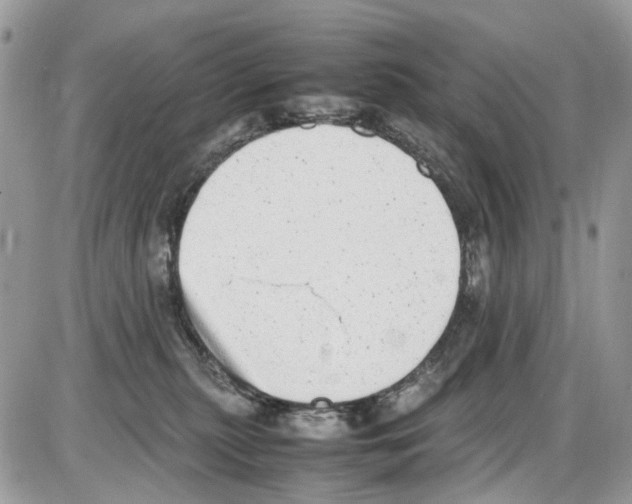 X0000086110279200704202313