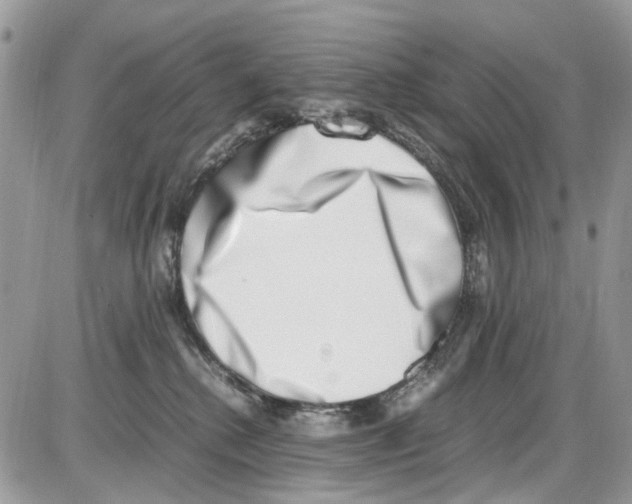 X0000086110280200704202313