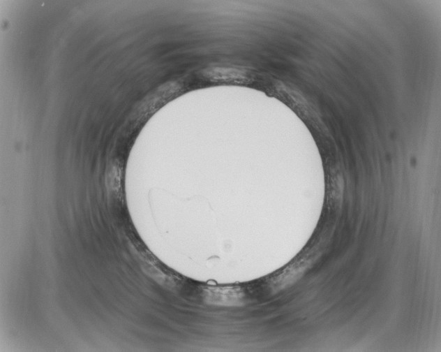 X0000086110281200704202313