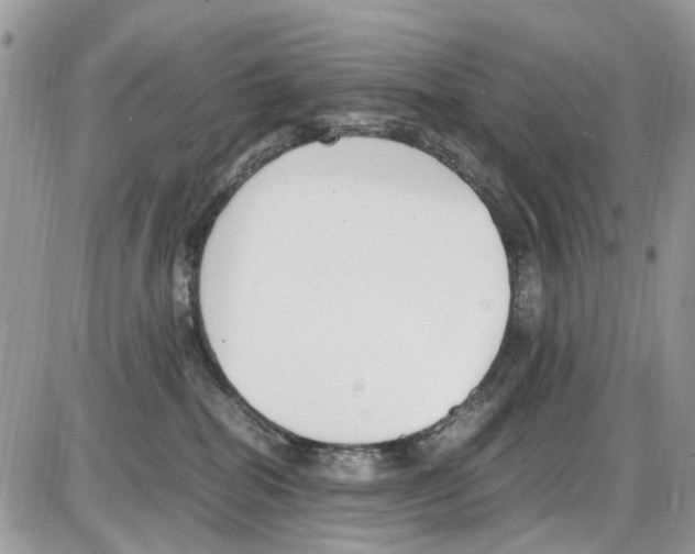 X0000086110282200704202313