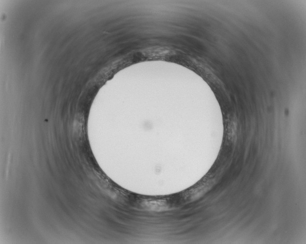 X0000086110283200704202313