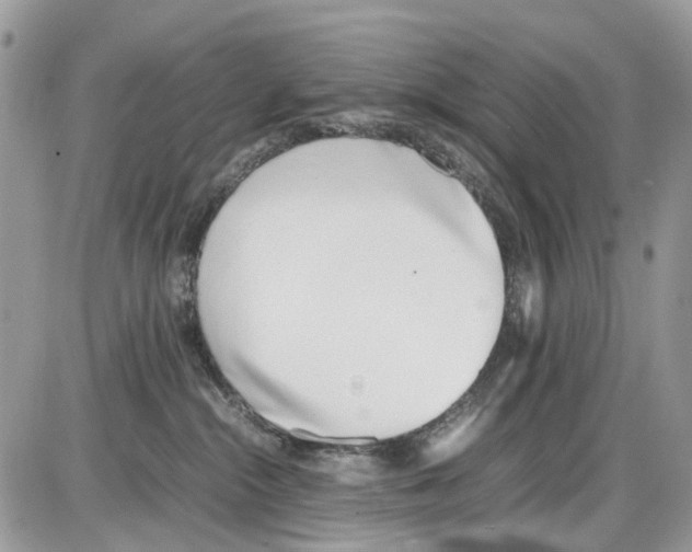 X0000086110284200704202313