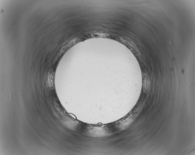 X0000086110285200704202313