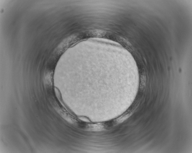 X0000086110286200704202313