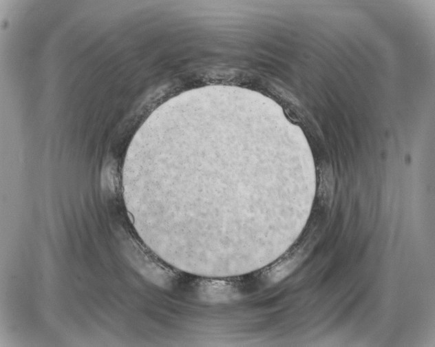 X0000086110287200704202313