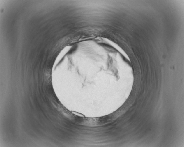 X0000086110288200704202313