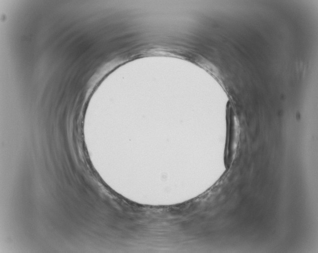 X0000086110289200704202313