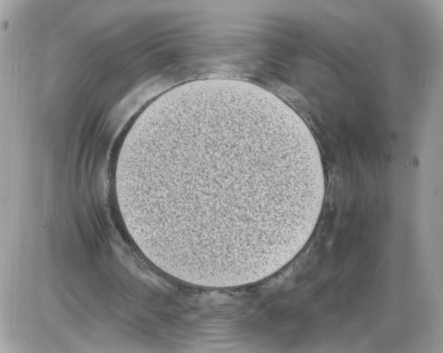 X0000086110290200704202313