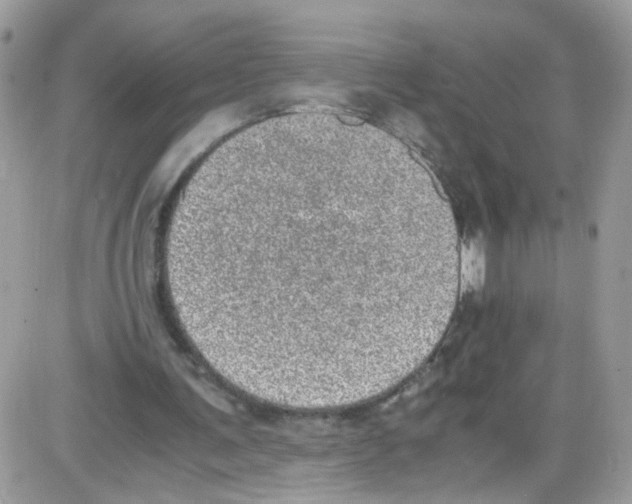 X0000086110291200704202313