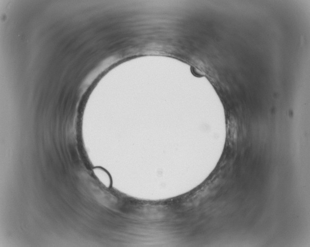 X0000086110292200704202313