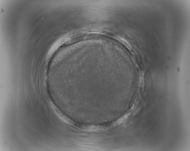 X0000086110293200704202313