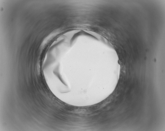 X0000086110294200704202312