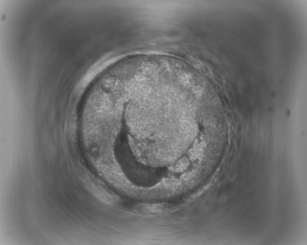 X0000086110295200704202312