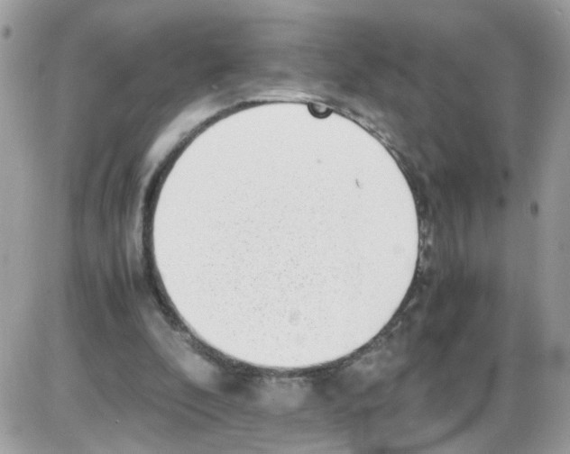 X0000086110296200704202312