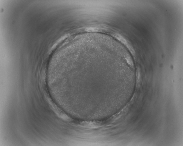 X0000086110297200704202312