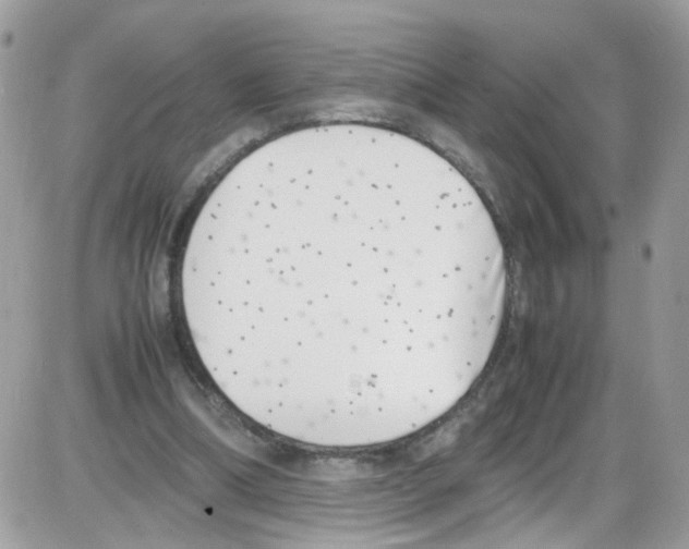 X0000086110298200704202312