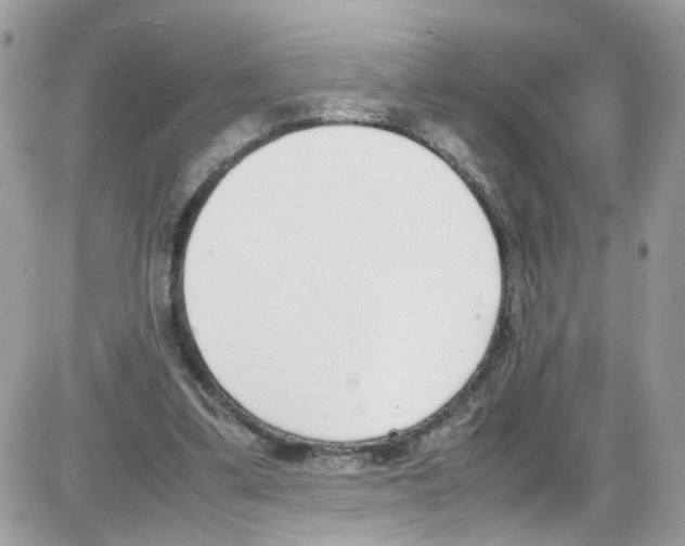 X0000086110299200704202312