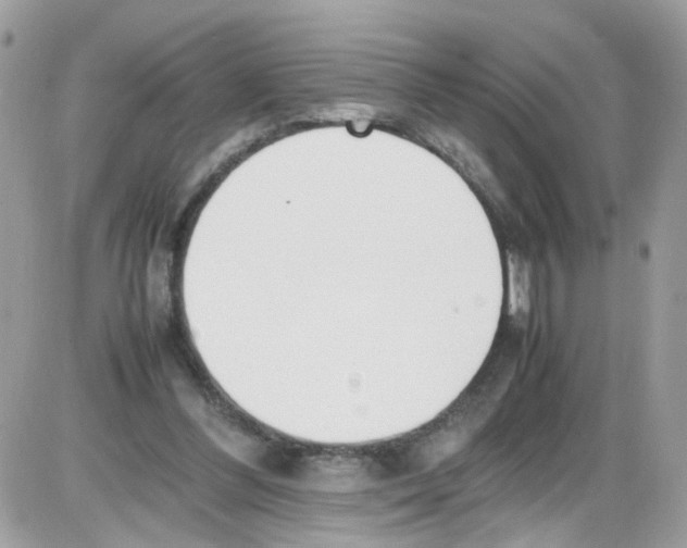 X0000086110300200704202312