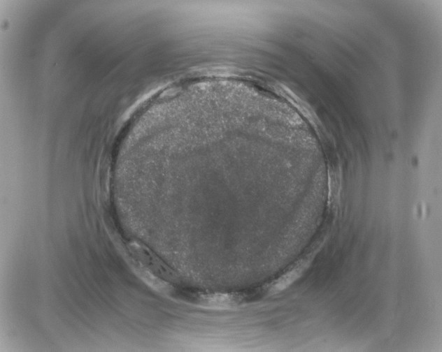 X0000086110301200704202312