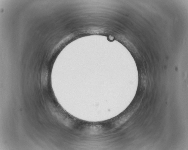 X0000086110304200704202312