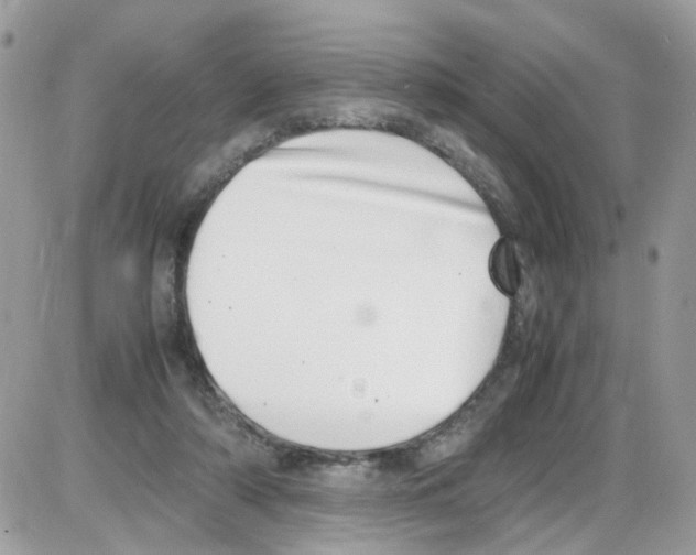 X0000086110306200704202312