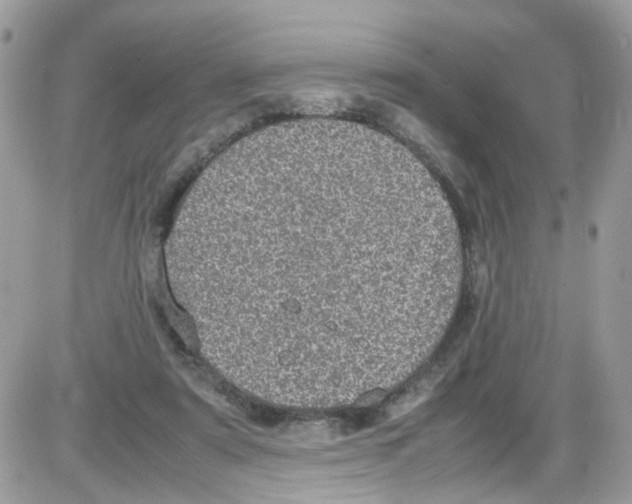 X0000086110307200704202312