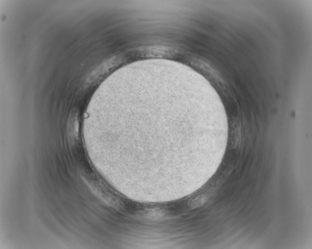 X0000086110310200704202312