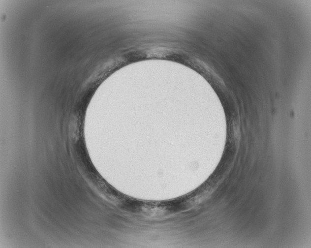 X0000086110311200704202312