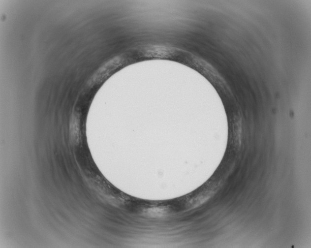 X0000086110312200704202312