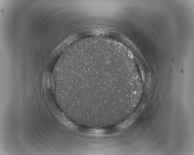 X0000086110313200704202312