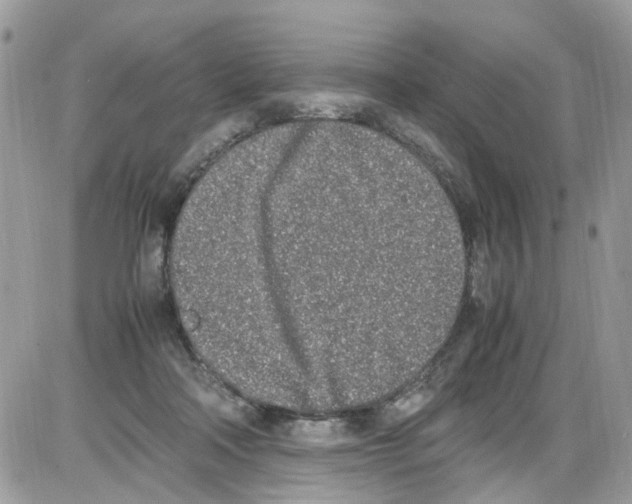 X0000086110314200704202312