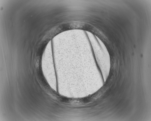 X0000086110315200704202312