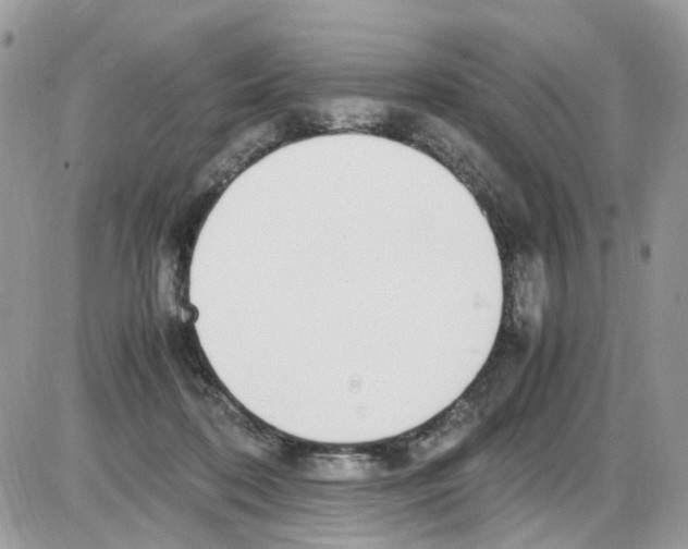 X0000086110316200704202312