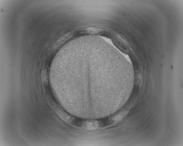 X0000086110317200704202312