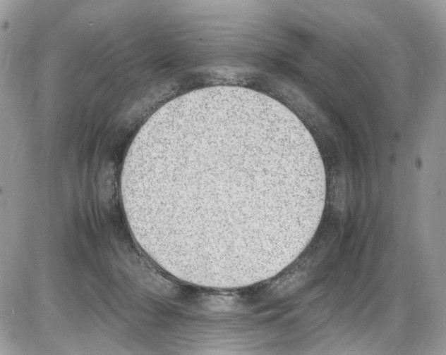 X0000086110318200704202312