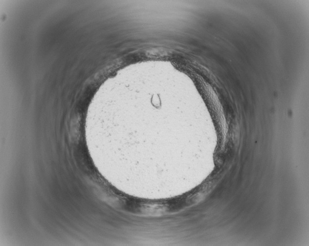 X0000086110319200704202312