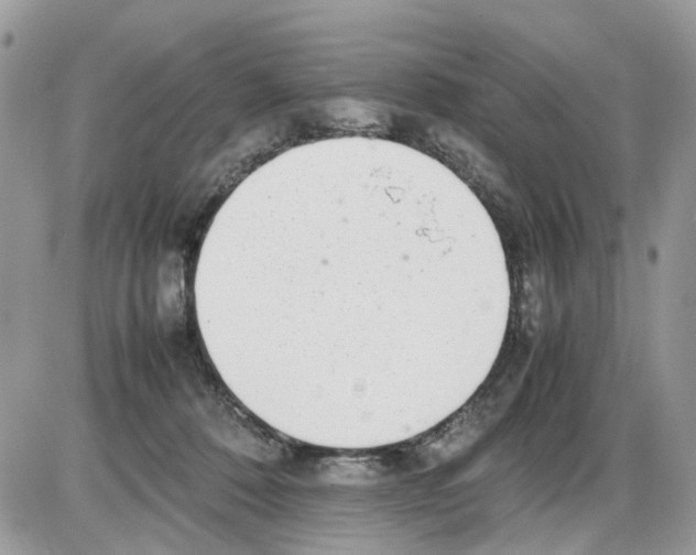 X0000086110320200704202312