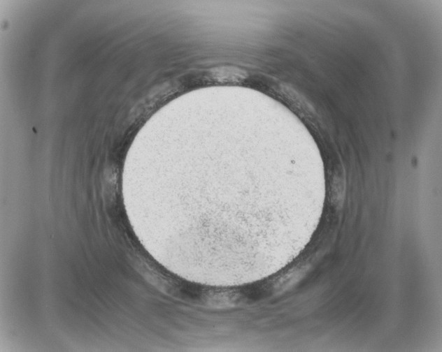 X0000086110321200704202312