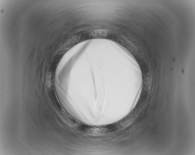 X0000086110323200704202312